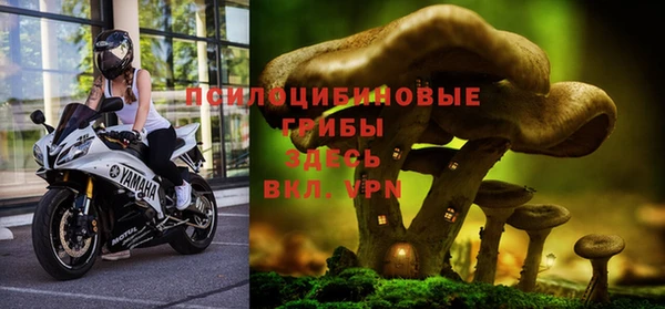 mix Алексин