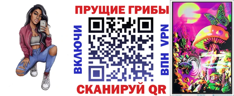 закладка Грязовец Псилоцибиновые грибы мицелий
